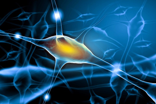 【盘货】单酰甘油酯酶（MAGL）抑制剂的研究希望