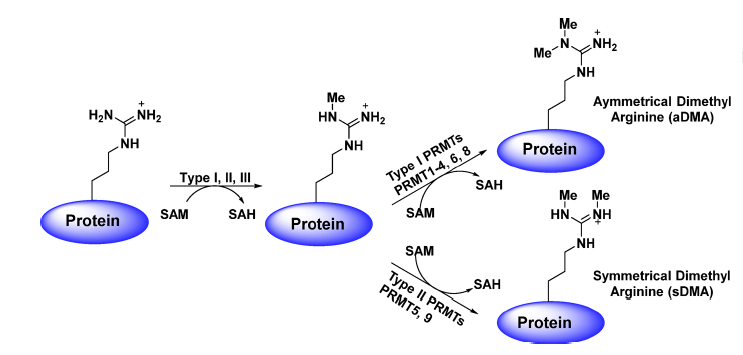 yy易游(中国)体育-米乐官方网站