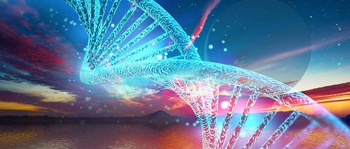 yy易游(中国)体育-米乐官方网站