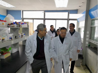 米乐YY易游开展办公场合节前清静卫生大检查