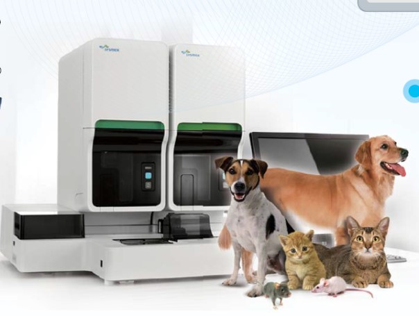 yy易游(中国)体育-米乐官方网站