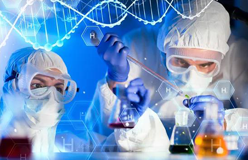 生物手艺药物 药物清静性评价