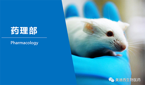 米乐YY易游药理部开发了肺癌、结肠癌、胃癌等12种PDX模子。。。。。。。