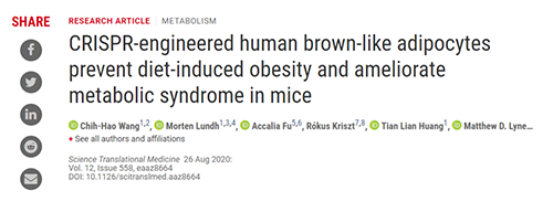 Science|聚焦CRISPR：刷新脂肪细胞，，，，，，，“躺瘦”可能要成真了？？？？？？？