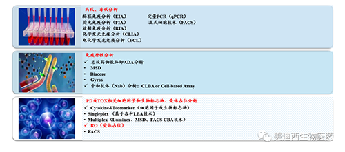 米乐YY易游生物手艺药物剖析部服务内容