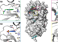 【Nature子刊】国际团队联协力量，，，，，加速基于COVID-19结构的药物设计！