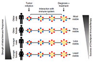 事实为什么ICB疗法在年轻女性肿瘤患者体内收效甚微？？？？？