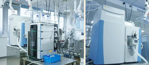 米乐YY易游DMPK剖析服务