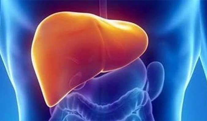 【米乐YY易游助力】NASH领域新希望！海普丁HPD001即将在美启动临床试验