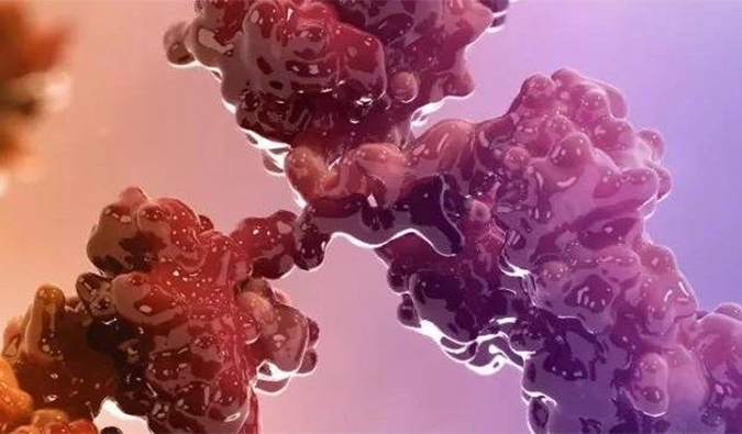 连摘3果！10天内，，，，，，，米乐YY易游助力的3个双特异性抗体治疗性药物获批.jpg