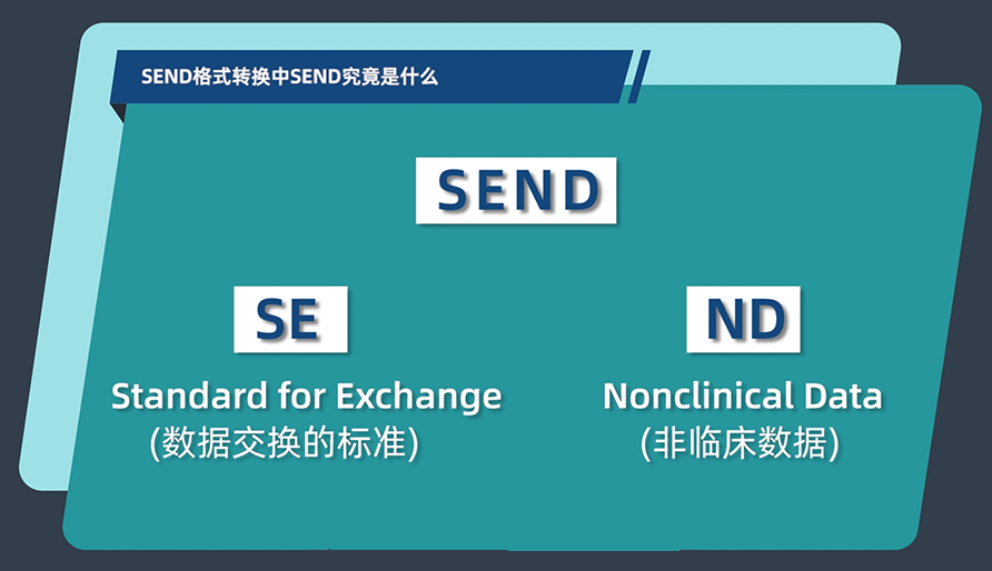 SEND名堂转换中的SEND事实是什么？？？？？？
