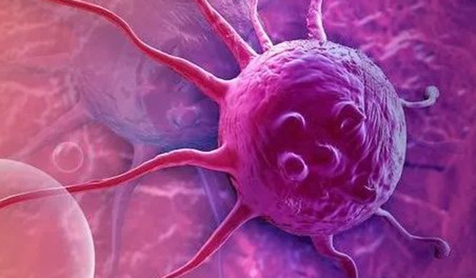 米乐YY易游助力中国原研高选择性EP4受体拮抗剂YY001获批临床