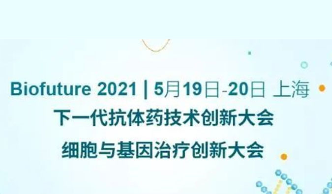                     米乐YY易游ADC新药临床前研究和申报最新履历分享来了