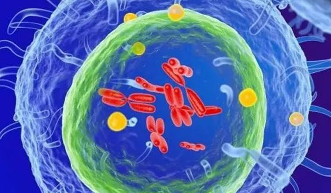  米乐YY易游助力 | 信诺维抗肿瘤1类新药XNW14010获批临床.png