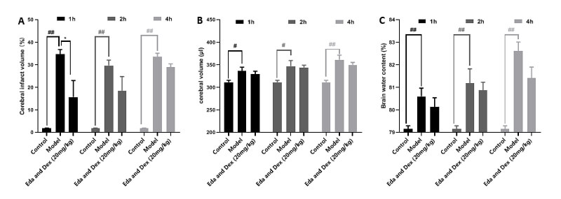 7-治疗时间窗考察-A：TTC；；；；；B：脑体积，，，，，C：脑含水量.jpg