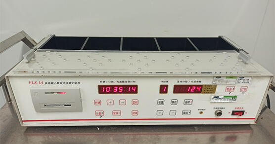 小鼠自主运动仪