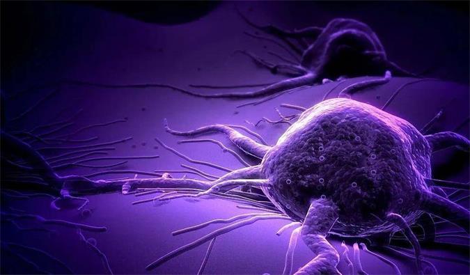 米乐YY易游助力轩竹生物研发的完全敲除岩藻糖的双抗ADC药物KM501获批临床