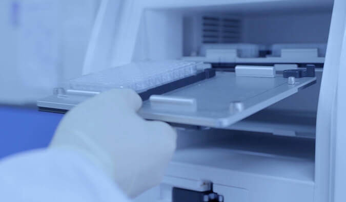 抗体发明研究——动物免疫与体外显示手艺