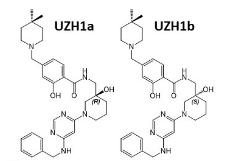 研究职员报告了一种具有细胞渗透性的选择性METTL3纳摩尔抑制剂UZH1a，，，，，，作者谢谢米乐YY易游合成了UZH1a和UZH1b