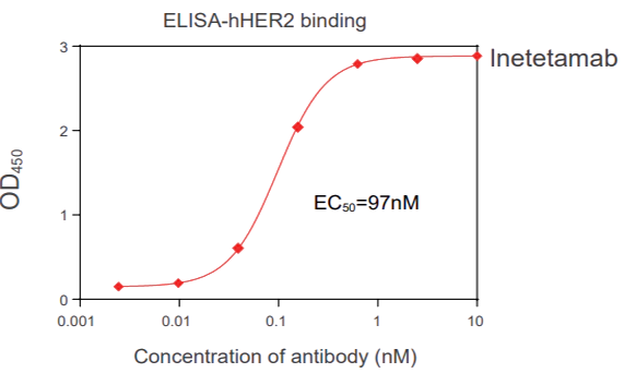 团结实验 Binding assay (FACS, ELISA, SPR)-1