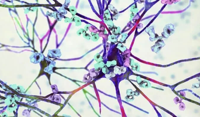 米乐YY易游镇痛药效评价模子