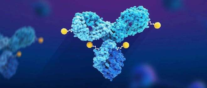 天下肿瘤日聚焦：AACR年会引领全球肿瘤新药趋势，，，，，，，，国产药引领风潮