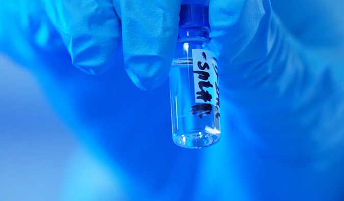 GLP-1“竞速赛”何以夺魁？？？？？？？？