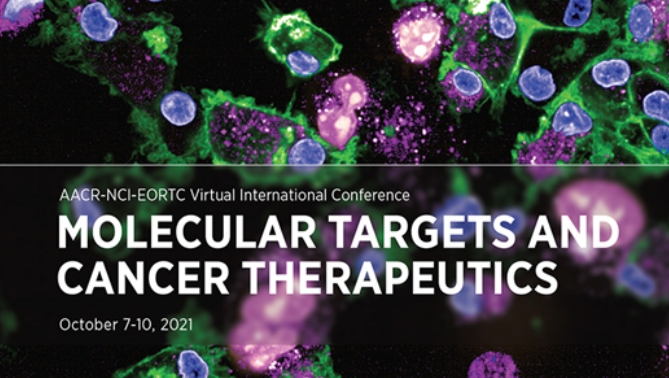 通过团结治疗提高免疫疗法疗效，，，，，，，本研究中临床前体内药效研究通过米乐YY易游举行