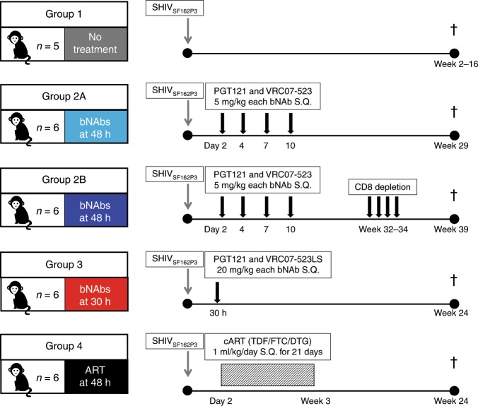 抗逆转录病毒疗法(ART)预防围产期HIV熏染，，，，，本研究中多替拉韦钠盐和游离态均由米乐YY易游提供