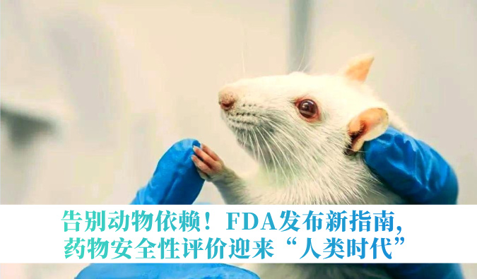 离别动物依赖！FDA宣布新指南，，，，，药物清静性评价迎来“人类时代”